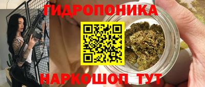 спиды Заволжье